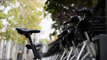 A row of bicycles parked in an outdoor area.