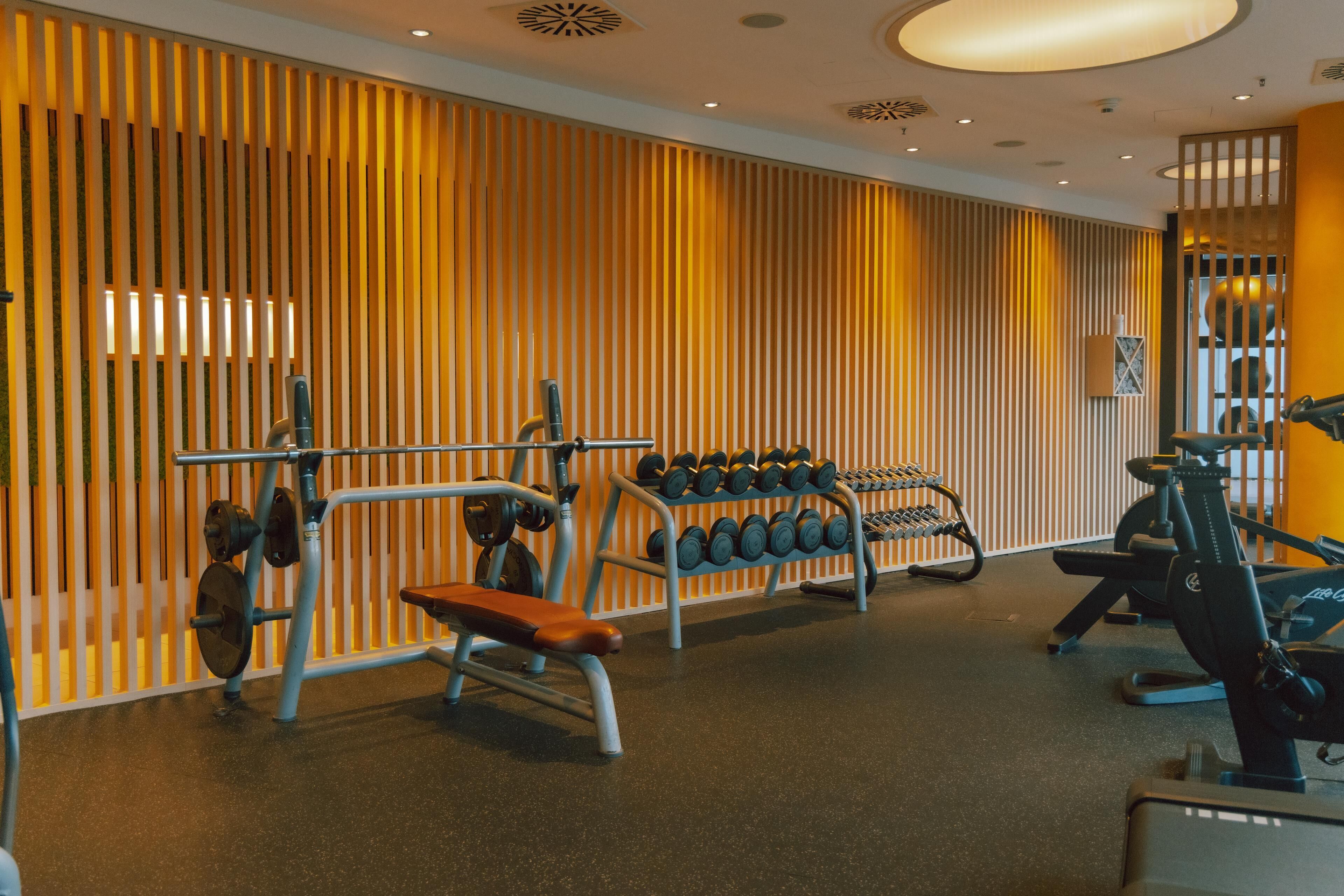 A gym with exercise equipment, a bench, and a rack of dumbbells.