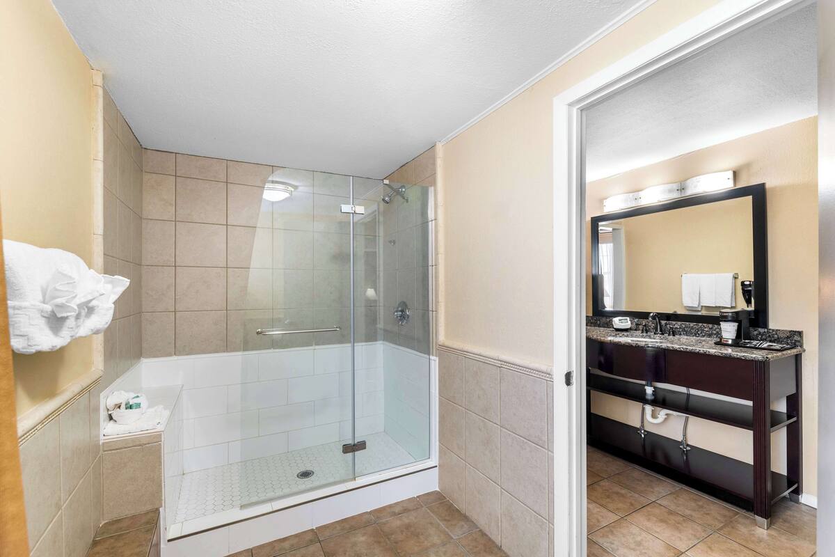 suite, 1 king bed, non smoking (living room;walk-in shower) | bathroom | free toiletries, hair dryer, towels, soap