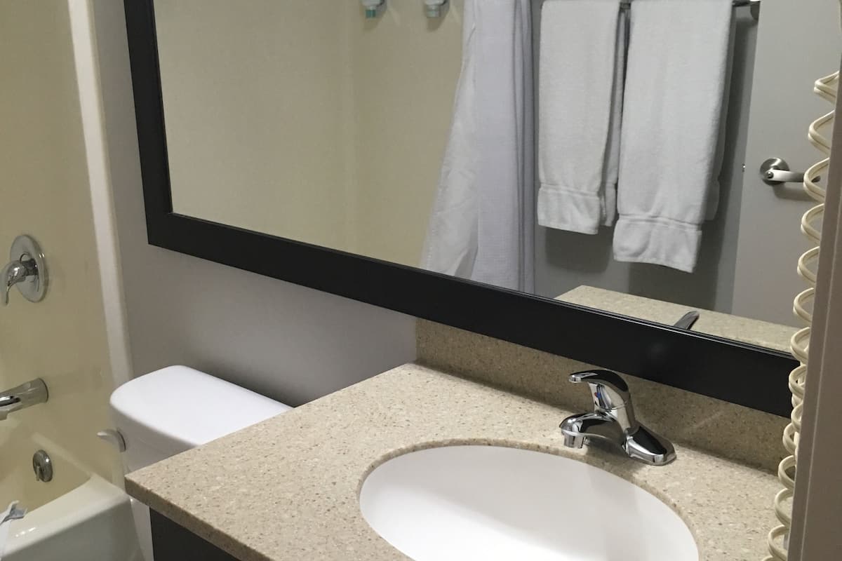 combined shower/bathtub, free toiletries, hair dryer, towels