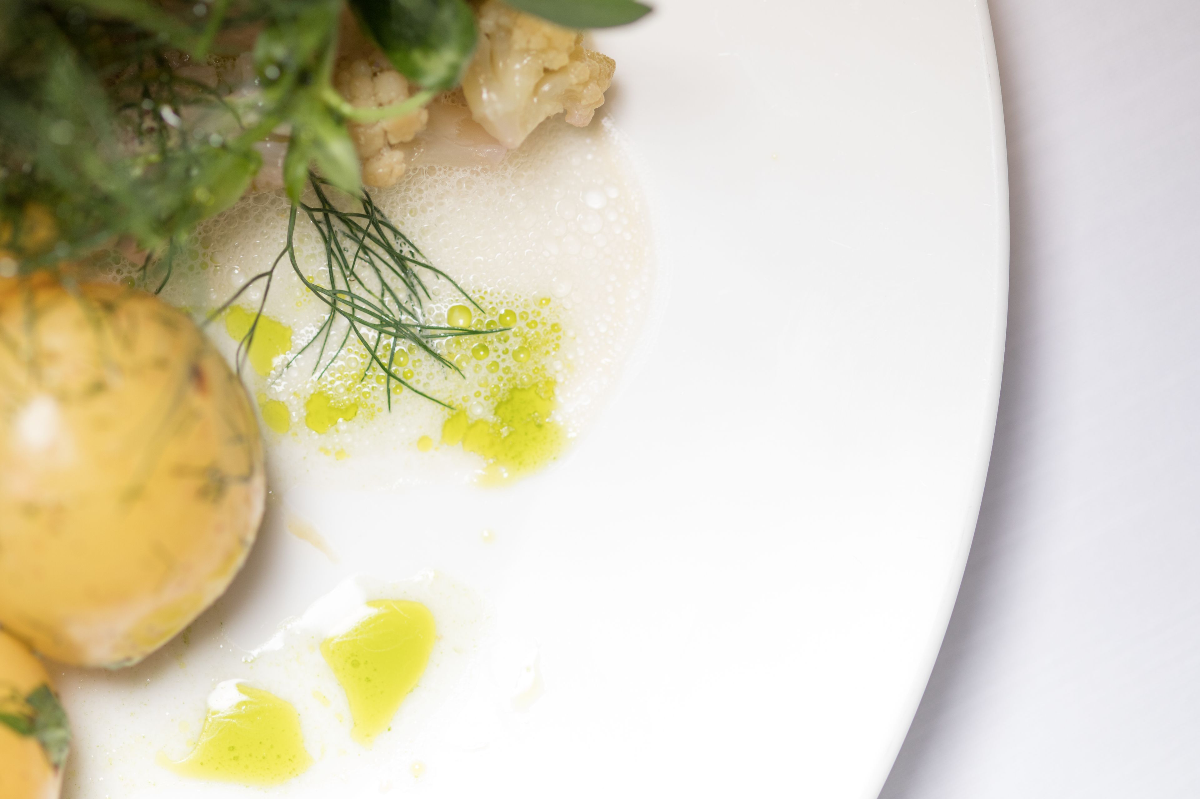 A close-up of a white plate with a piece of food, some green herbs, and a yellow sauce.