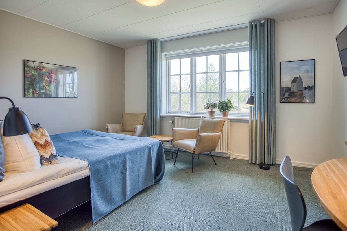 A hotel room with a bed, a desk, a chair, a window with curtains, a radiator, and a plant.
