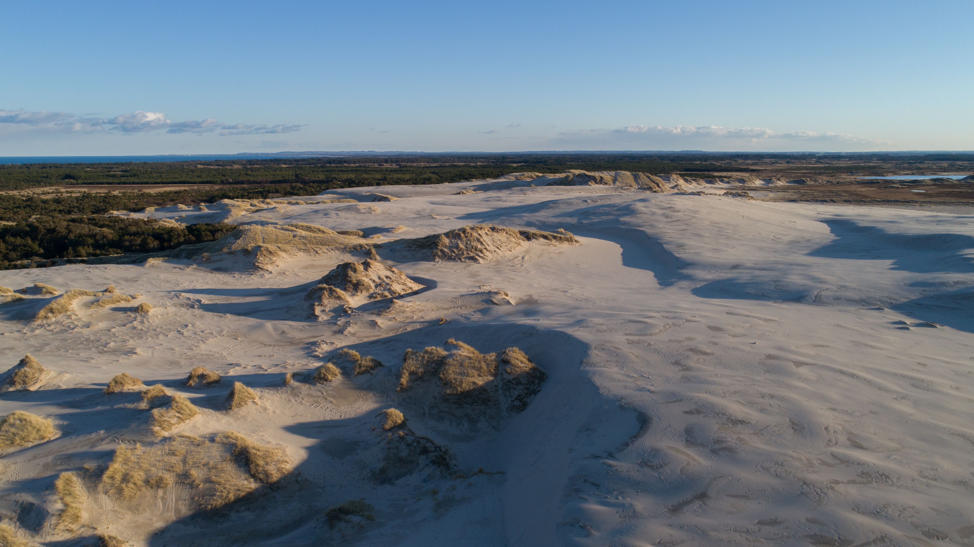 A vast, open landscape with undulating sand dunes and sparse vegetation.
