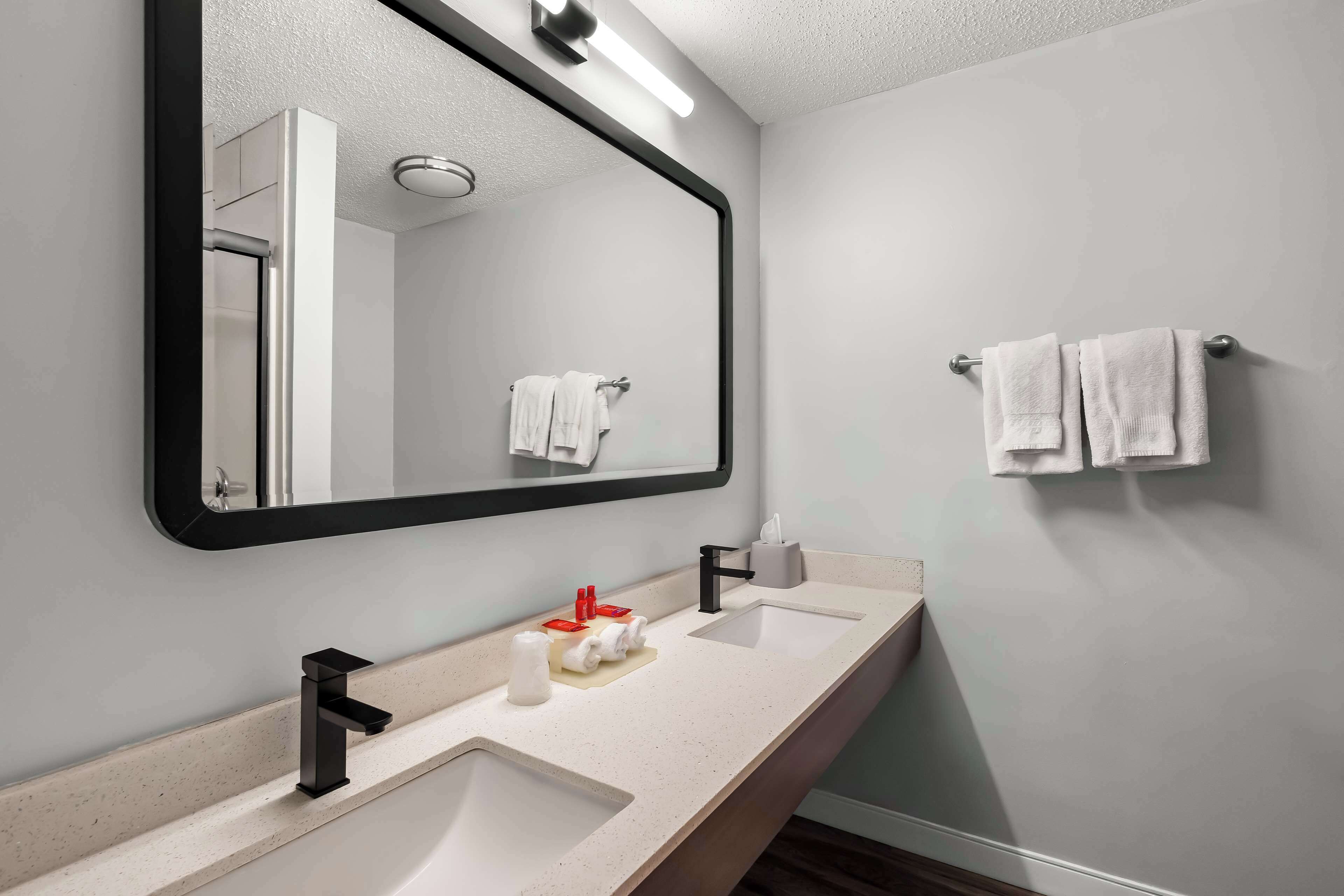 hair dryer, towels, soap, shampoo