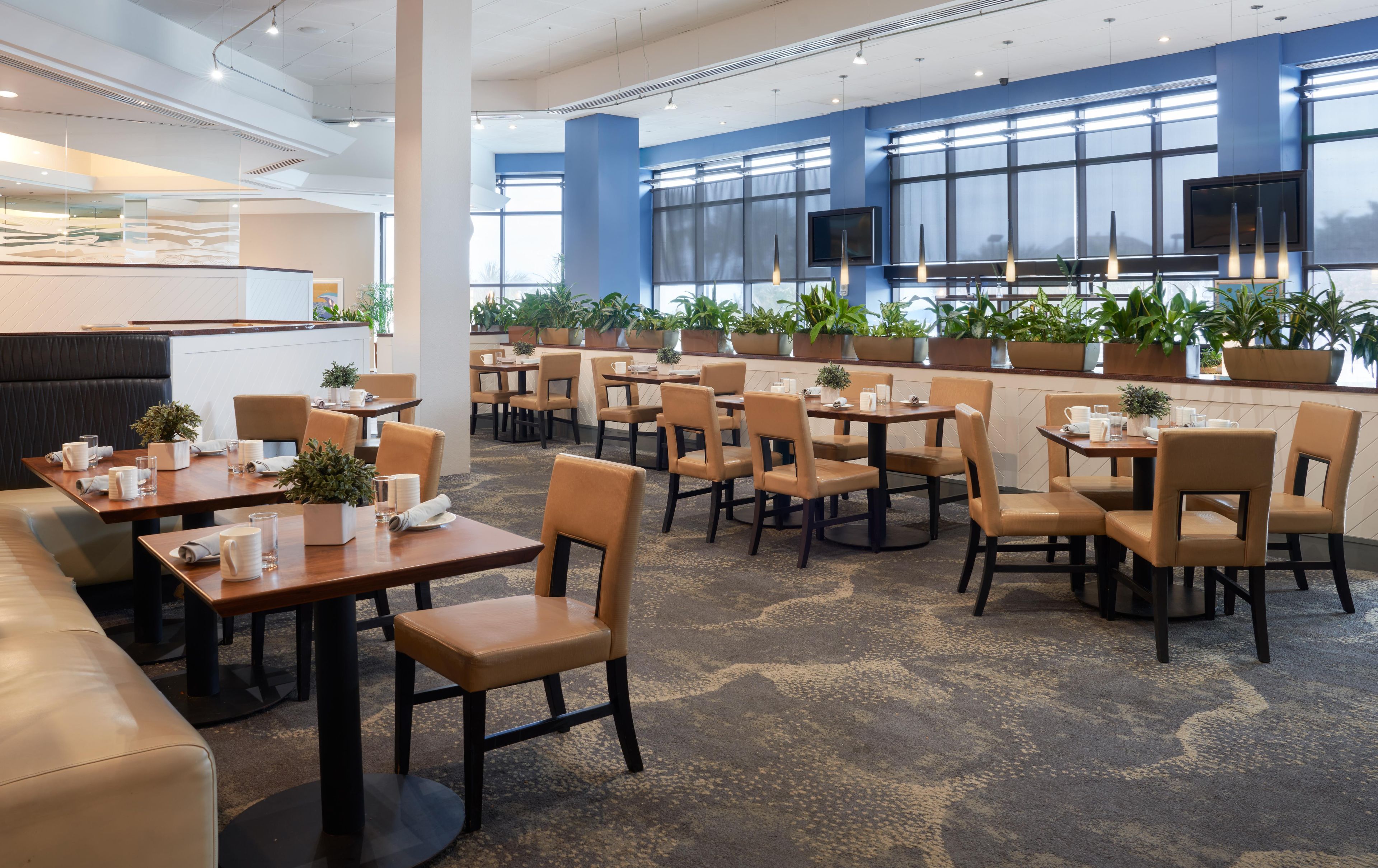A hotel dining area with multiple tables and chairs, large windows, and potted plants.
