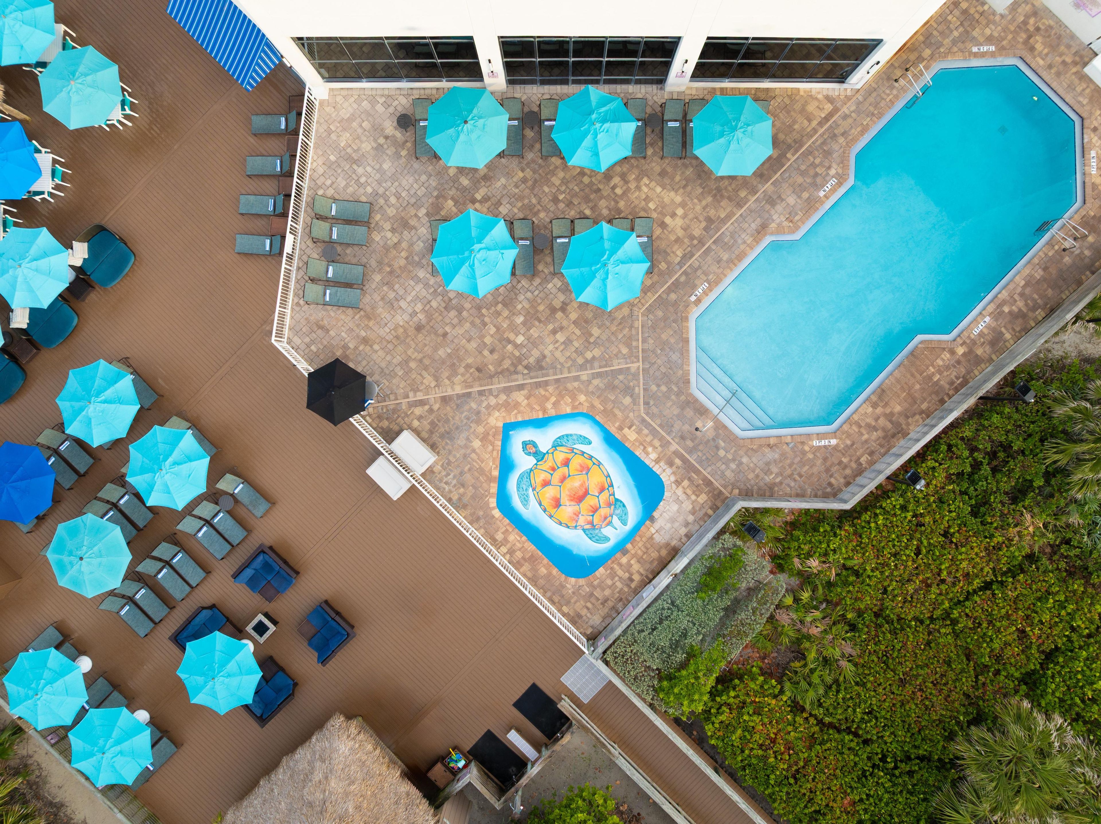An aerial view of a pool area with multiple sun loungers and umbrellas, a central pool, and a decorative turtle feature.