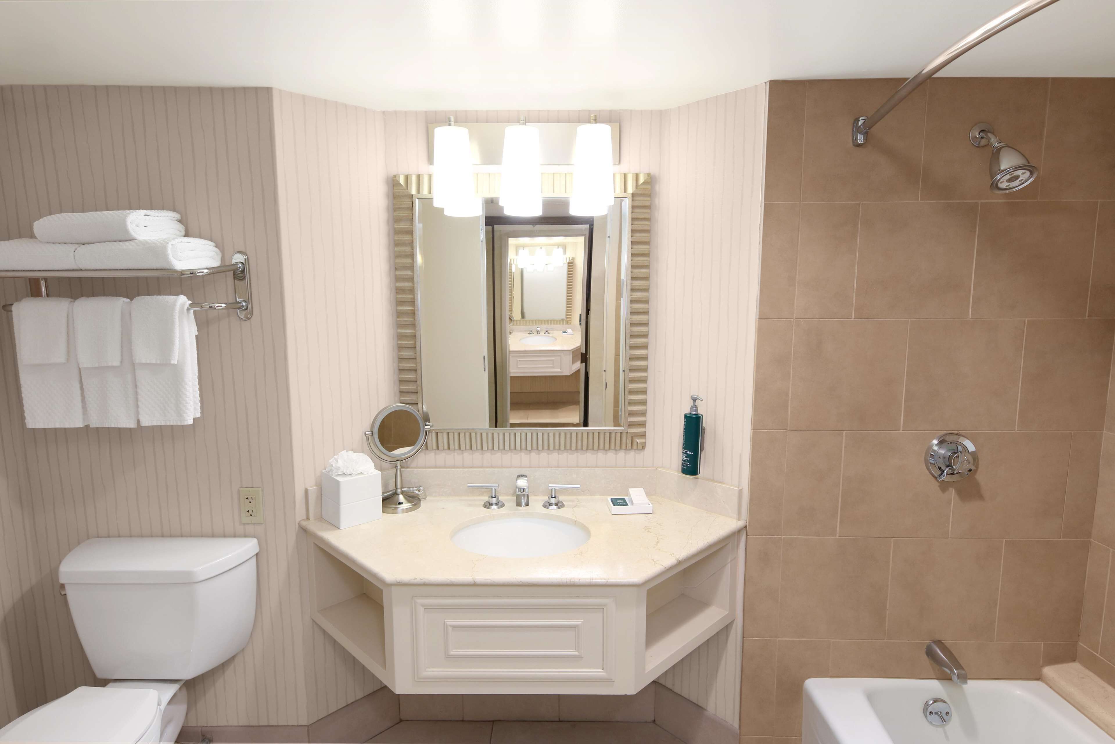 A bathroom with a white toilet, a sink with a mirror, and a shower area.