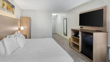 Habitación de hotel con una cama grande, un televisor de pantalla plana montado en un mueble de madera, una mesita de noche con lámpara y un cuadro en la pared.