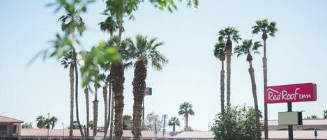 A Red Roof Inn with a clear view of the building's architecture and surrounding palm trees.