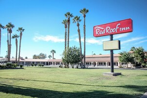 Un Red Roof Inn con cielo despejado, palmeras y un césped cuidado.
