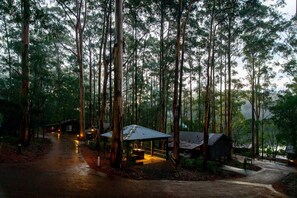 A forested area with a small cabin and a covered seating area.