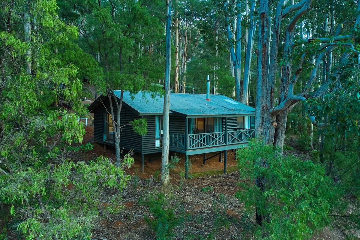 A cabin with a balcony, surrounded by dense forest.
