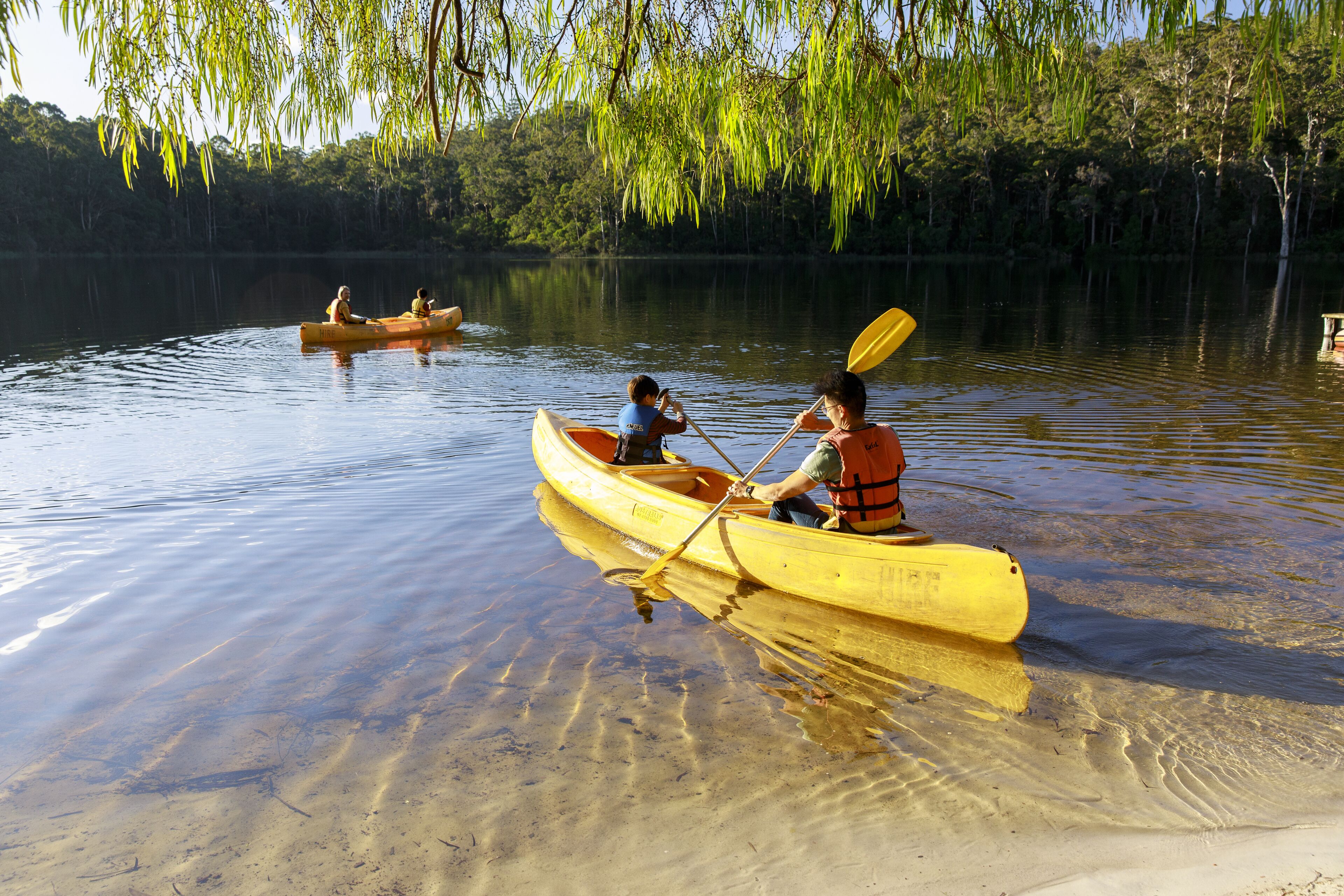 A calm river with canoes and kayaks.