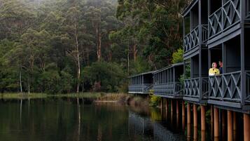 A wooden deck extending over a lake, surrounded by dense forest.