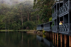 Una terraza de madera que se extiende sobre un lago, rodeada de un bosque denso.
