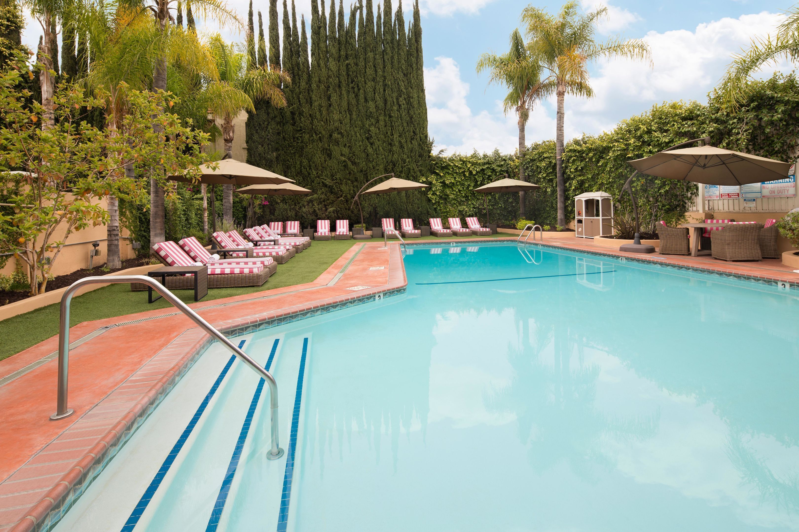 Foto - The Hollywood Hotel