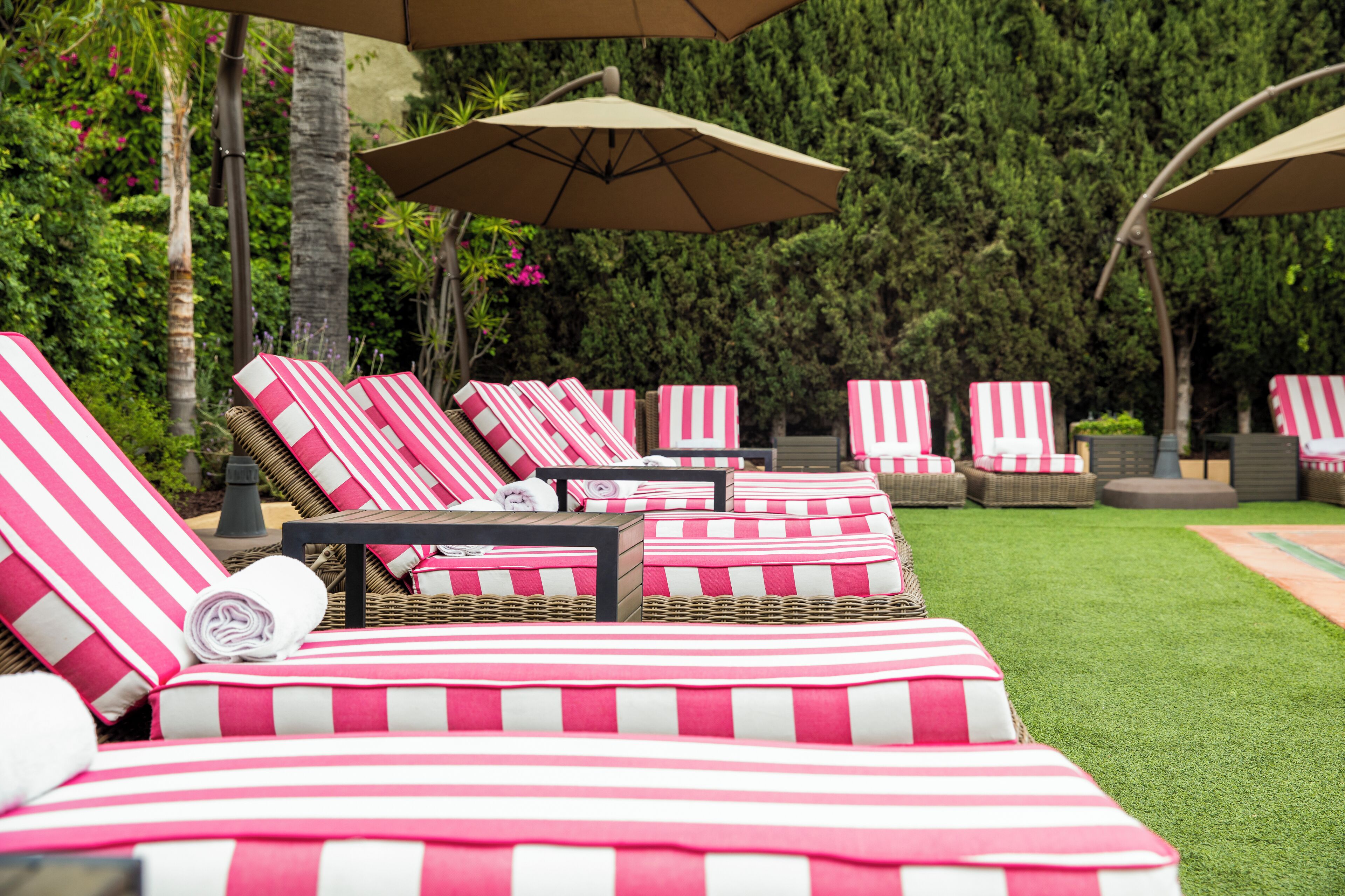 Photo - Hollywood Hotel