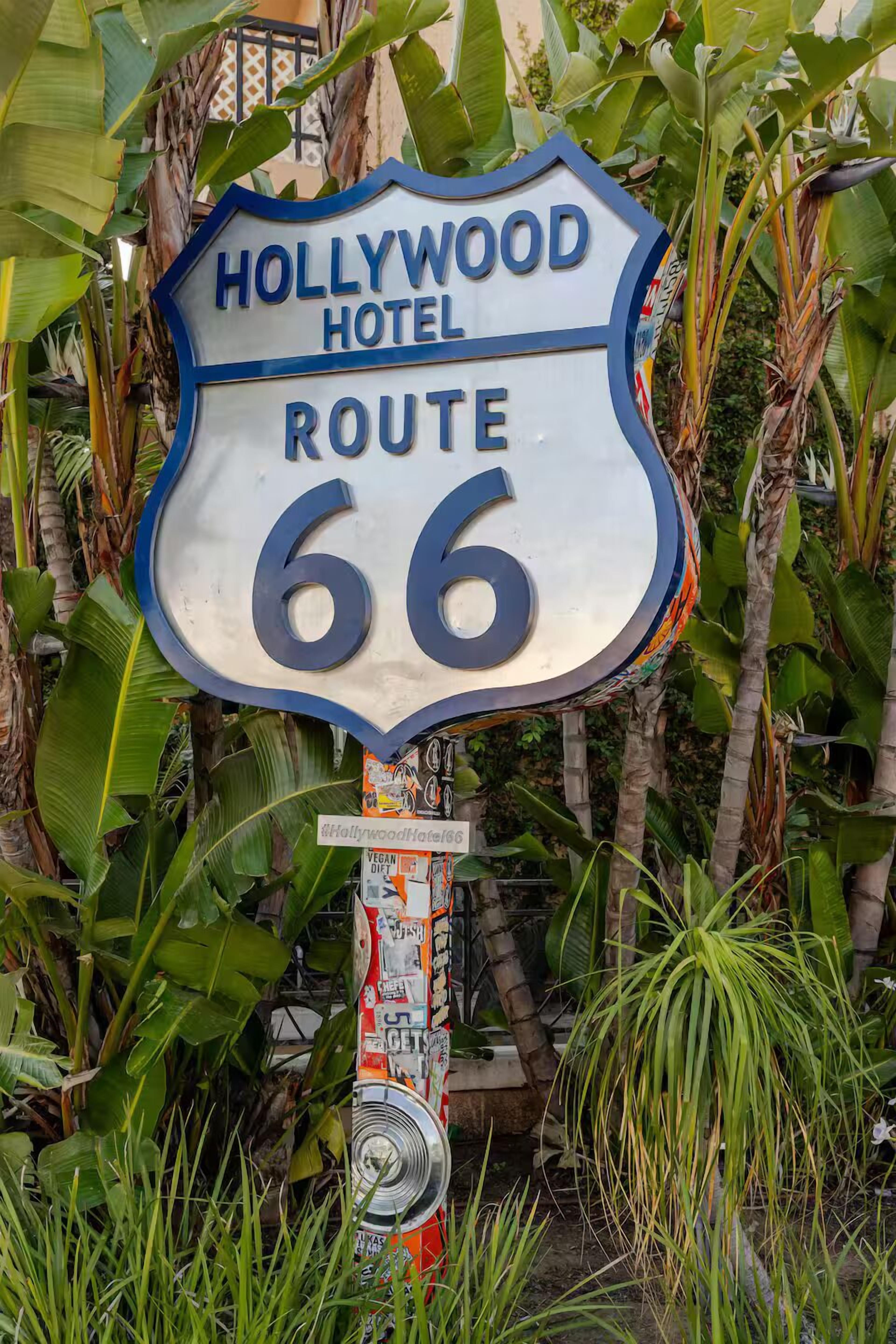Foto - The Hollywood Hotel