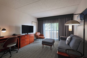 Flat-screen TV, pay movies