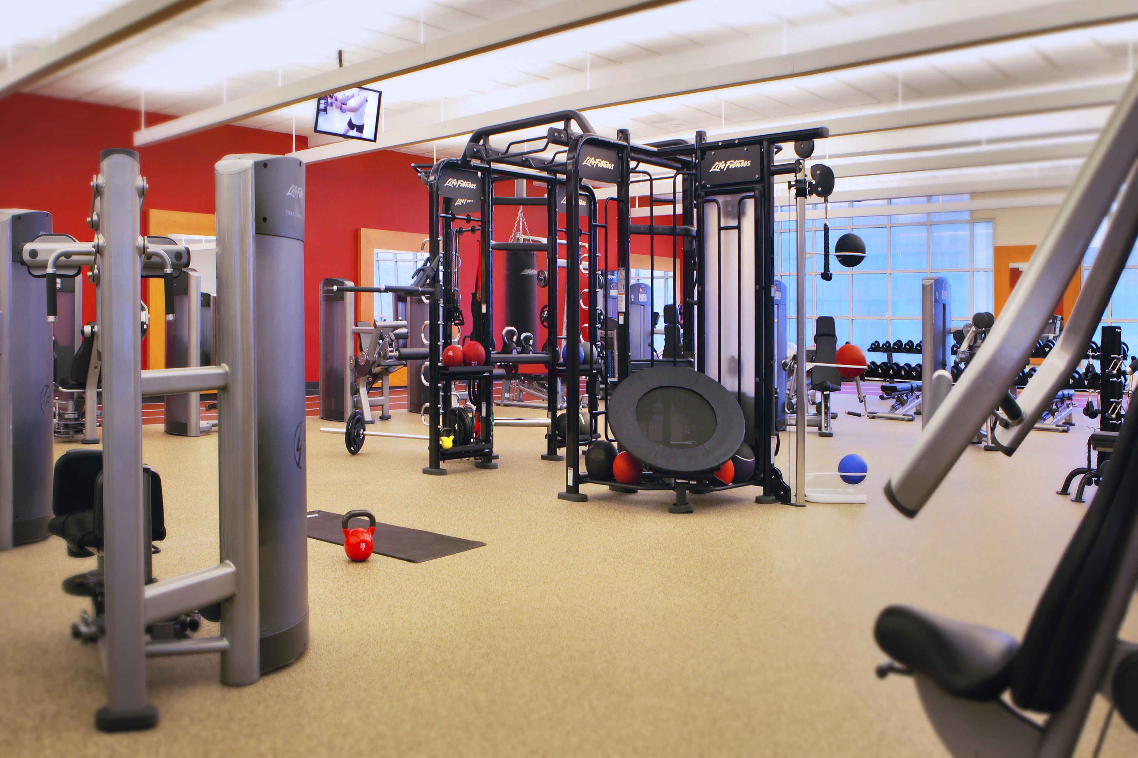 A gym with various exercise equipment, including a squat rack, benches, and weights.