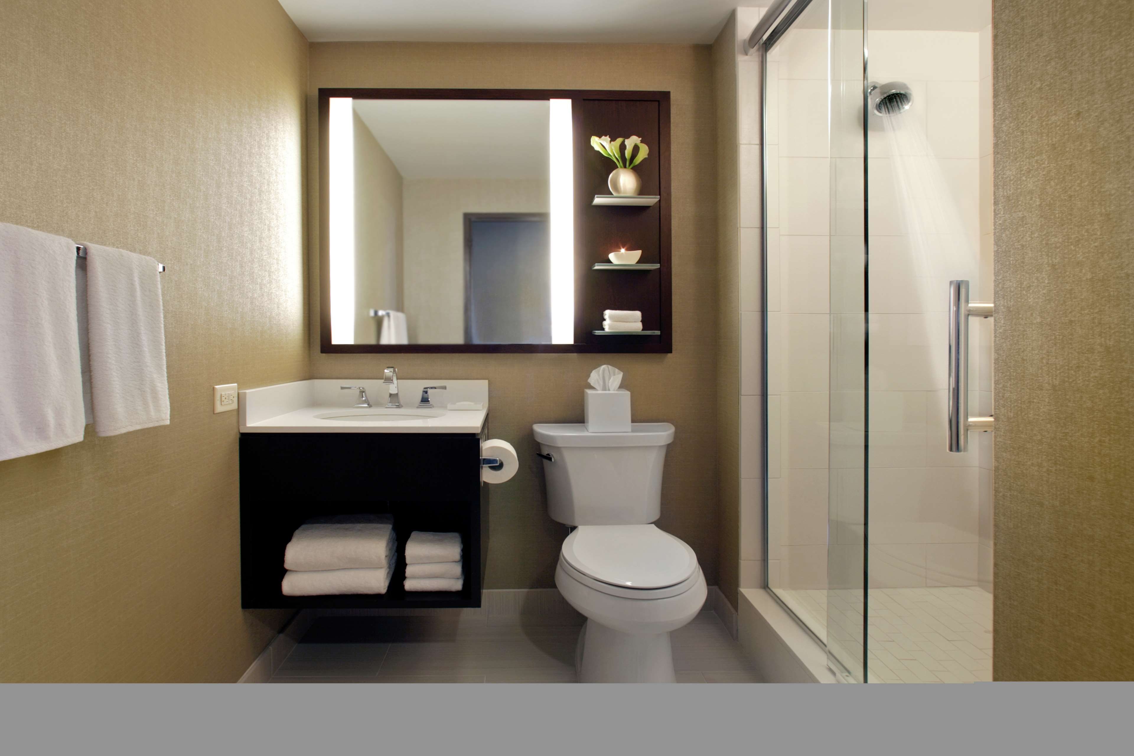 A modern bathroom with a glass-enclosed shower, a white toilet, a sink with a mirror above it, and a shelf with toiletries.