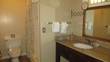 Ein Badezimmer mit Toilette, Dusche und Waschbecken.