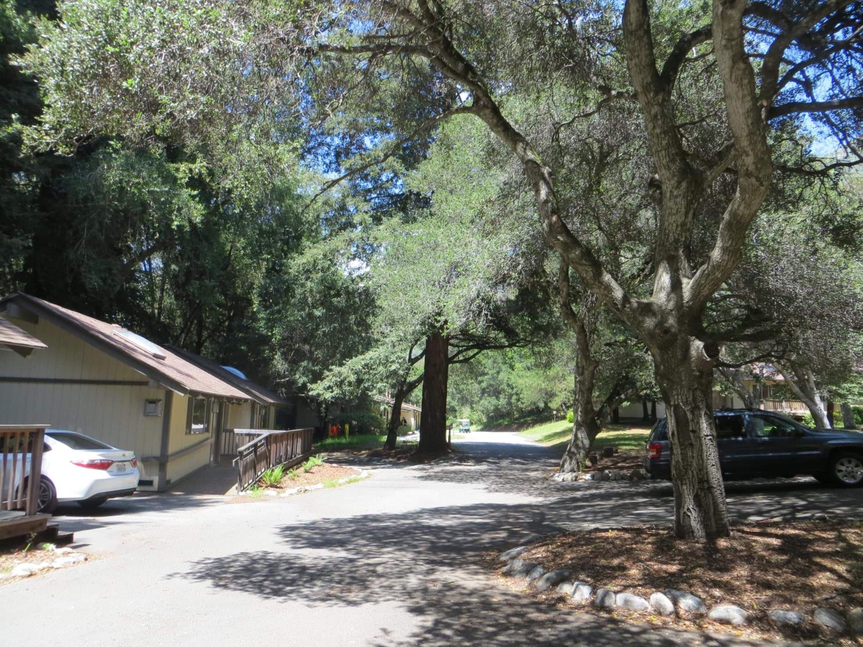 A residential street with houses, parked cars, and trees.