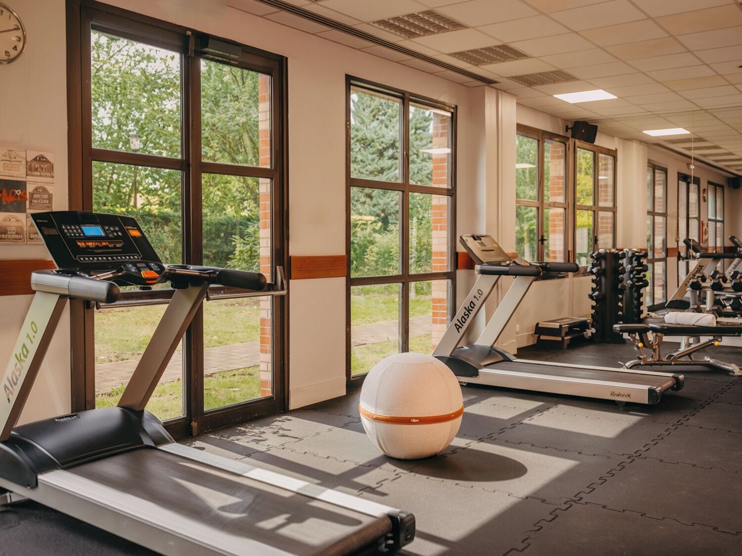 Gimnasio