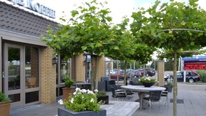 An outdoor seating area with tables and chairs, potted plants, and a building with a sign.