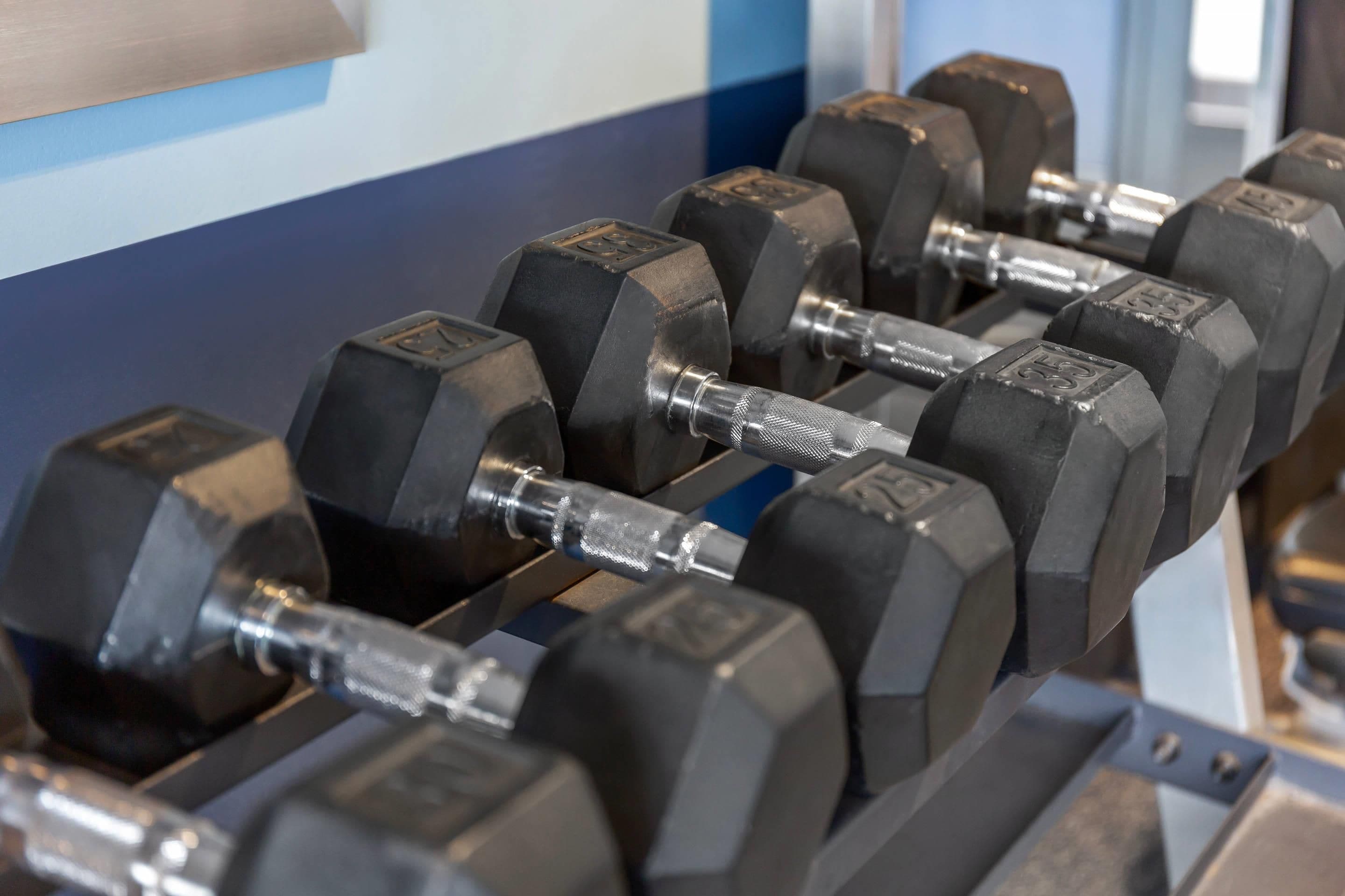 A set of black dumbbells on a rack.