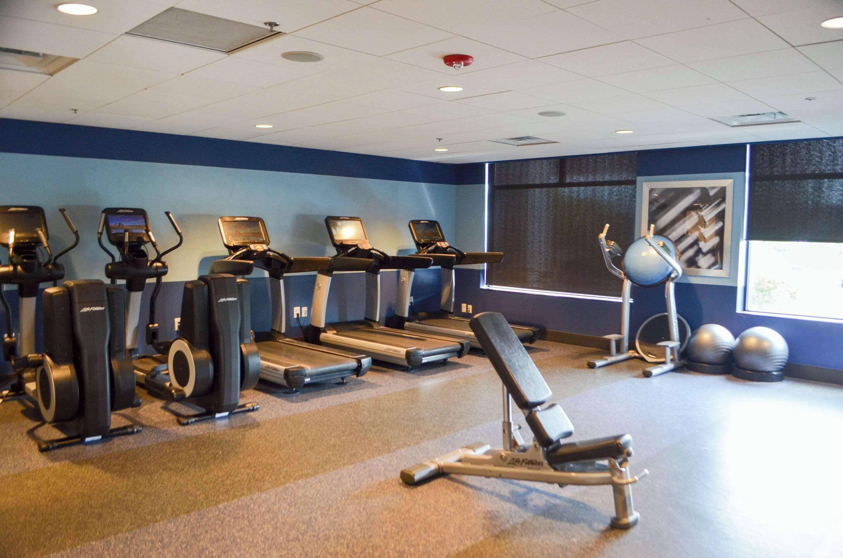 A gym with treadmills, elliptical machines, a bench press, and exercise balls.
