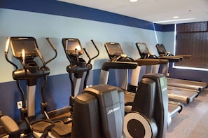 A row of cardio machines including ellipticals and treadmills in a gym with blue walls and a window.