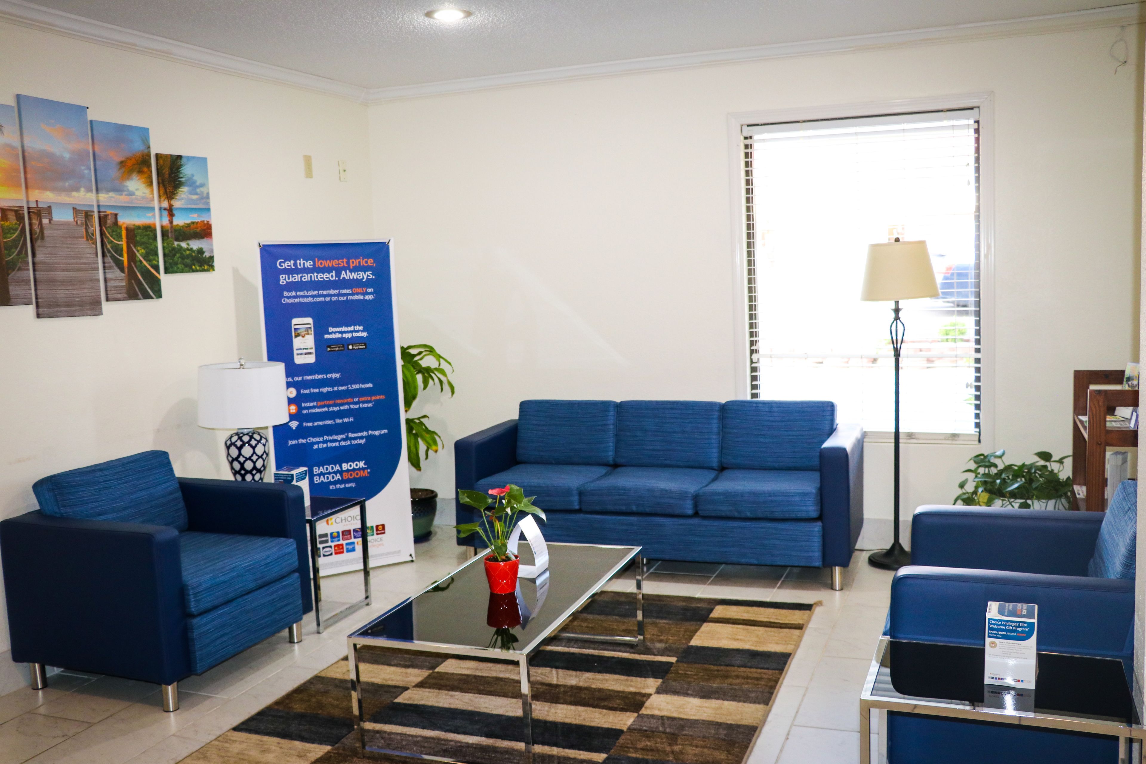 Un espace d’accueil avec un canapé bleu, une table basse et une plante. Il y a une affiche au mur et une lampe près de la fenêtre.