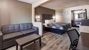 Standard Room, 1 Queen Bed, Non Smoking, Refrigerator & Microwave (with Sofabed) | Desk, laptop workspace, blackout drapes, iron/ironing board