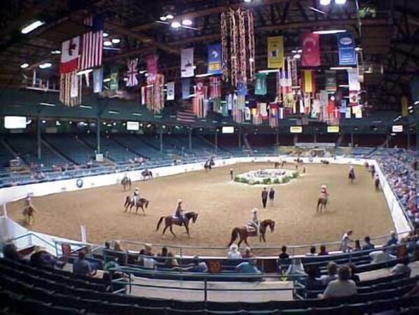 Una arena interior con suelo de tierra, rodeada de asientos para espectadores. Se ven banderas al fondo.
