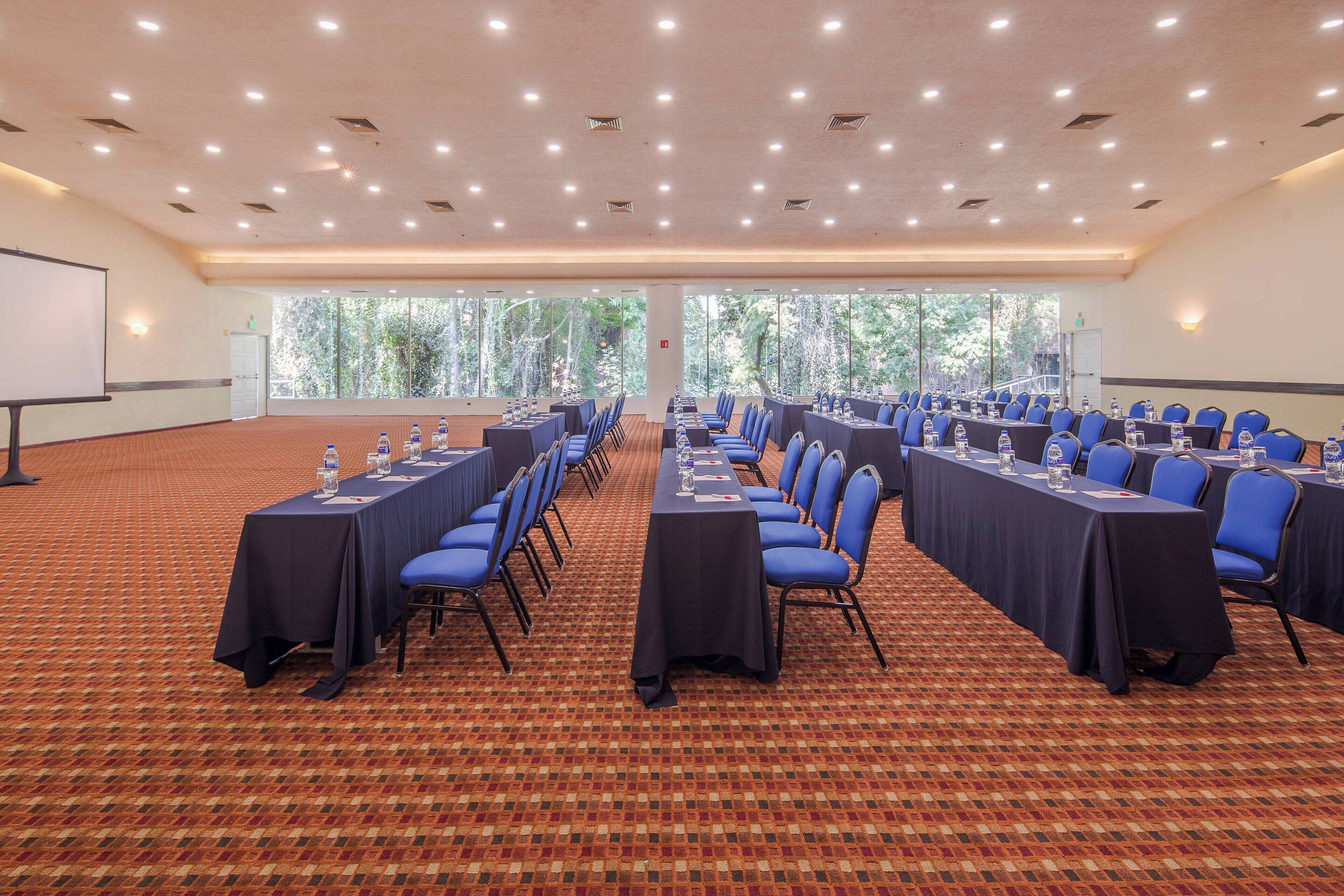 Una sala conferenze con lunghe tavole, sedie blu e pavimento rivestito di moquette.