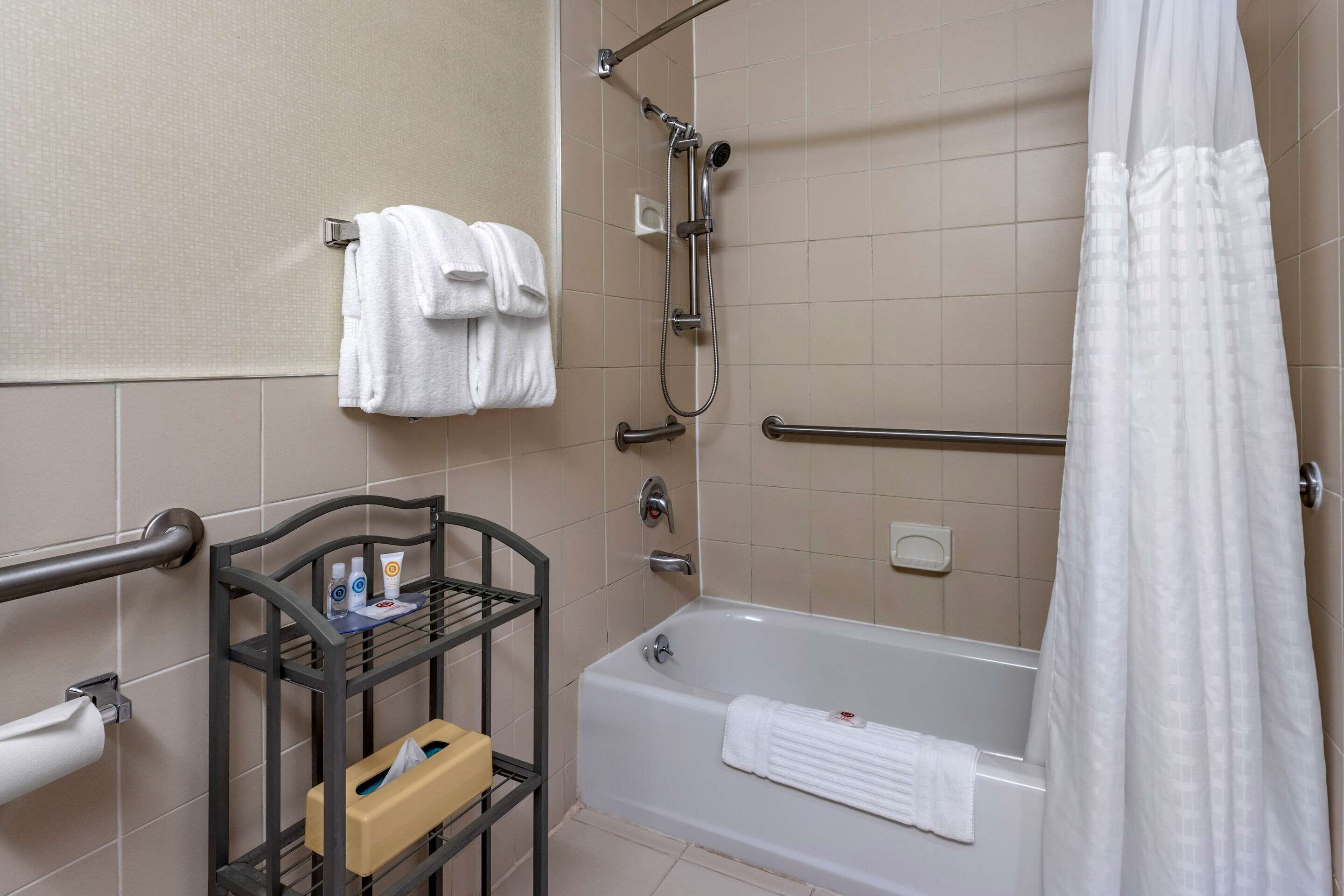 room, 1 king bed, accessible, non smoking | bathroom | free toiletries, hair dryer, towels