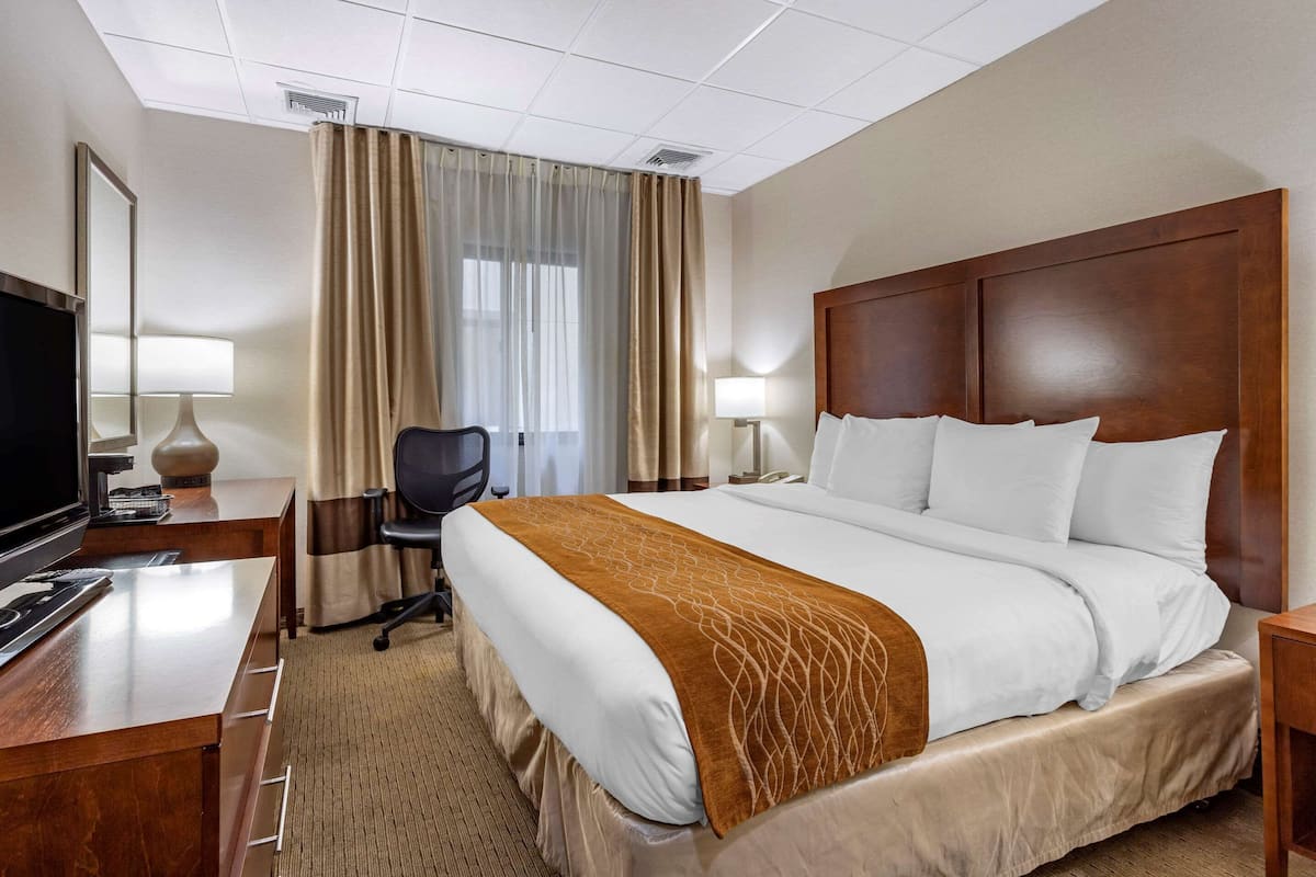 Room, 1 King Bed, Accessible, Non Smoking | Desk, laptop workspace, iron/ironing board, free WiFi
