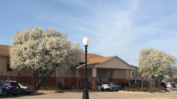 Un bâtiment avec un parking, un lampadaire et des arbres aux fleurs blanches.