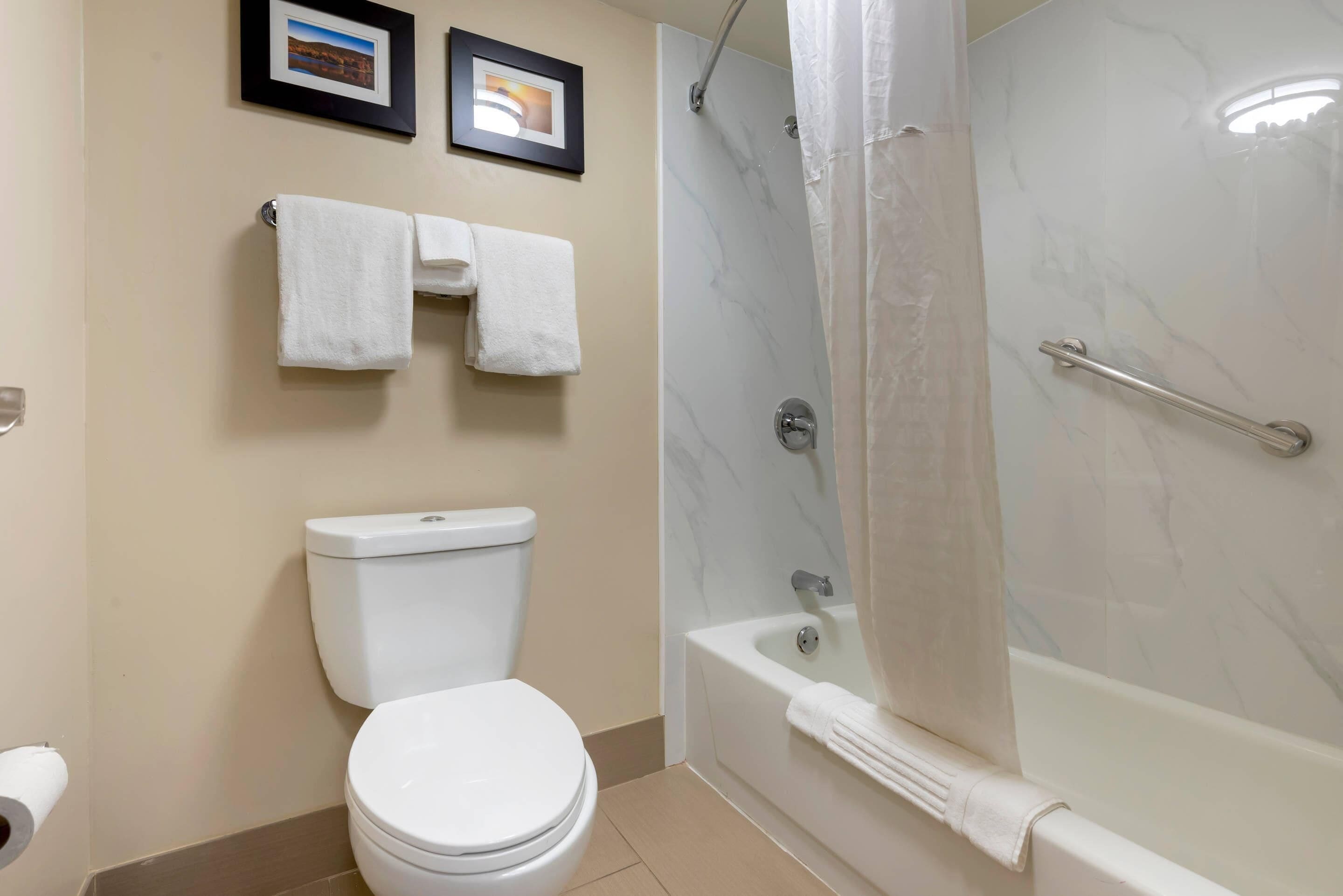 Un baño con inodoro, ducha con puerta de cristal y dos cuadros en la pared.