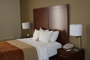 Iron/ironing board, free cots/infant beds, rollaway beds, free WiFi - Comfort Inn Binghamton I-81 (Binghamton)