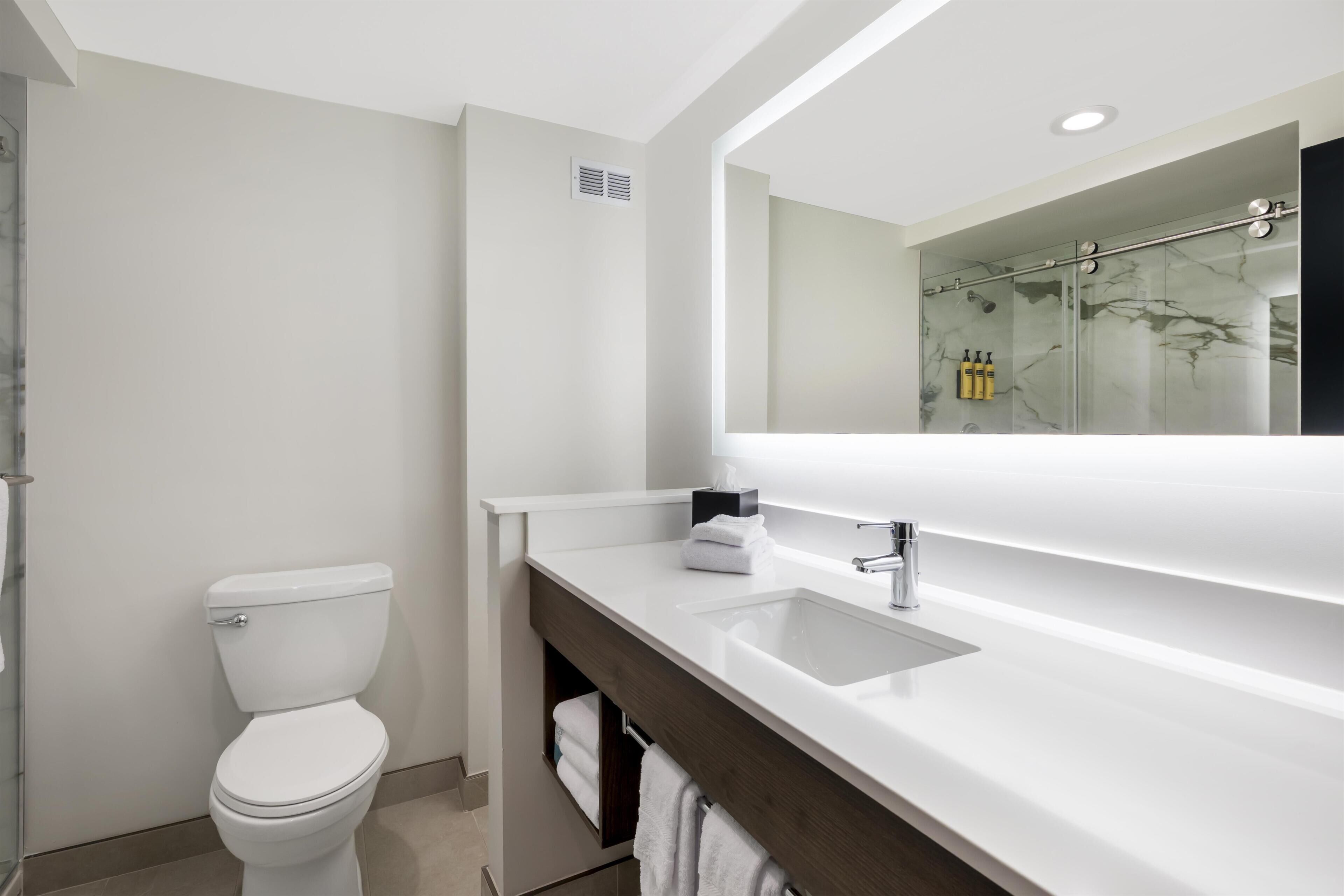 A modern bathroom with a toilet, a sink, and a large mirror.
