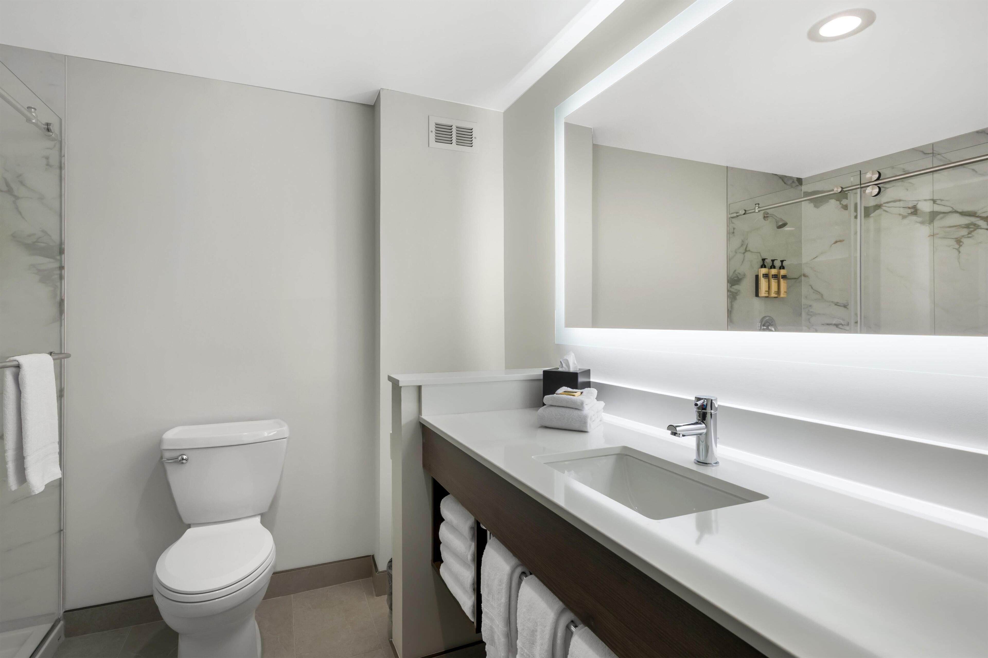 A modern bathroom with a toilet, a sink, a mirror, and a shower area.
