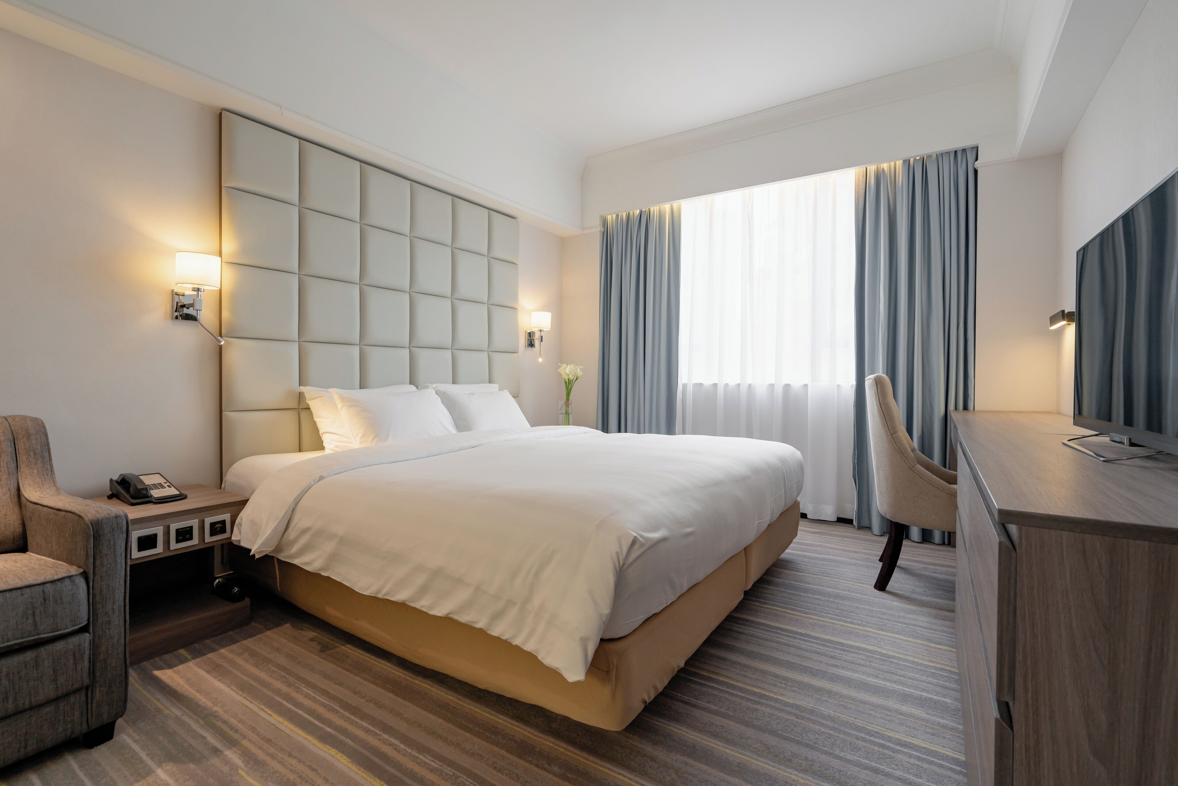 豪华单寝室套房 | 客房内保险箱、办公桌、遮光窗帘、熨斗/熨板