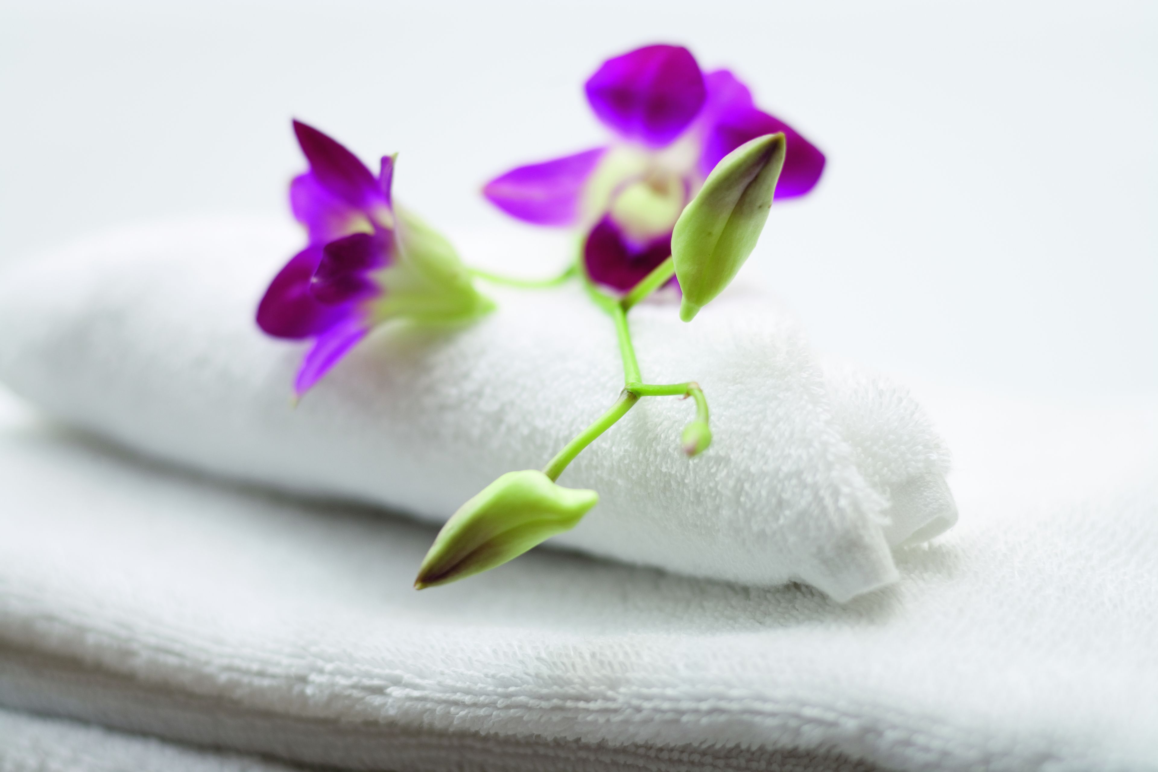 Una toalla blanca con flores púrpuras y brotes verdes.