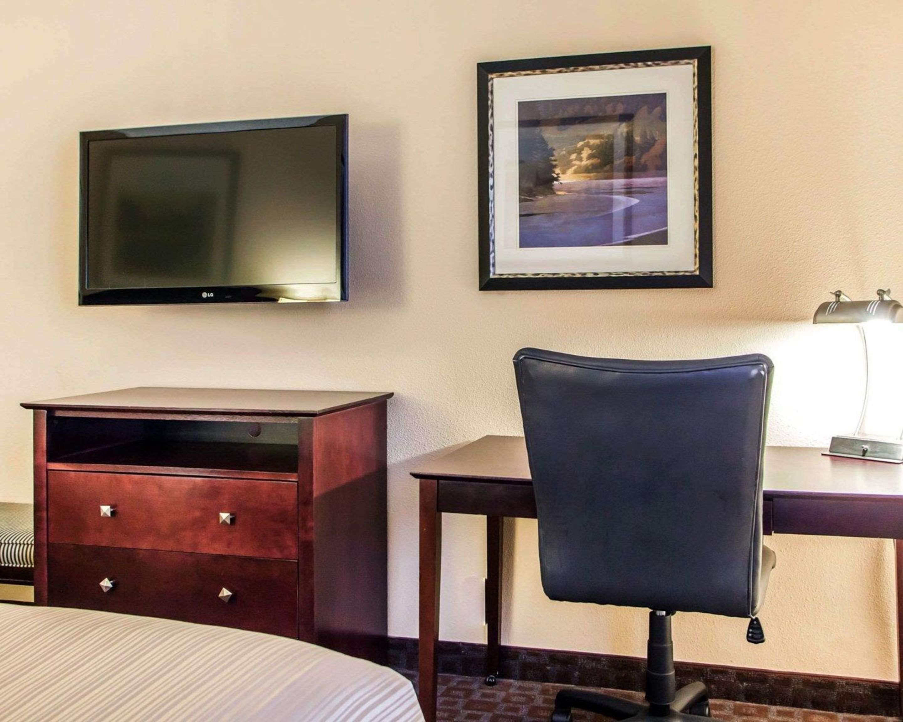 Habitación de hotel con una cama, un escritorio con silla, un televisor y un cuadro en la pared.