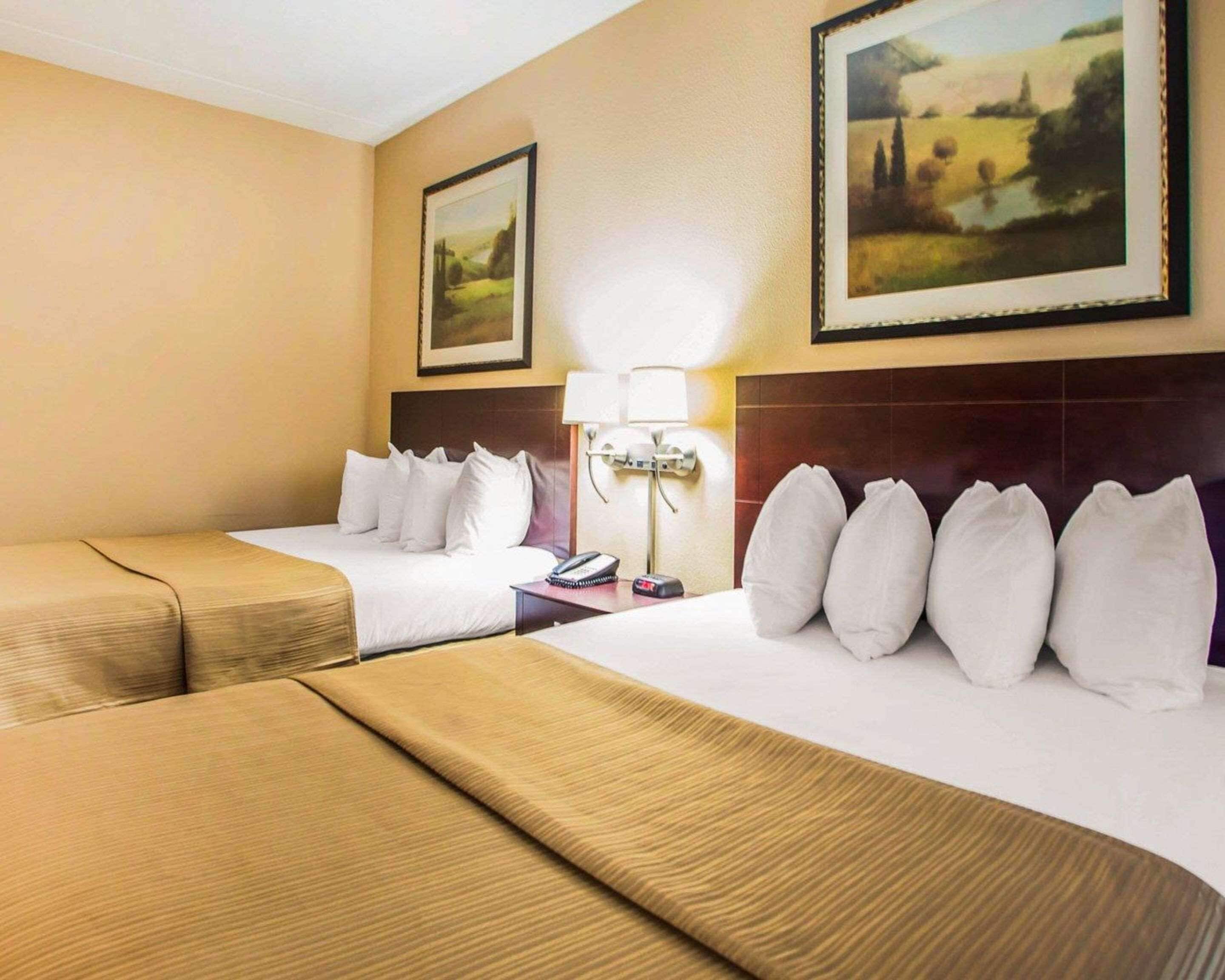 Habitación de hotel con dos camas, una mesita de noche, una lámpara y dos cuadros con paisajes en las paredes.