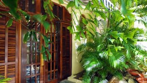 A traditional wooden building with large windows and a lush green plant in the foreground.