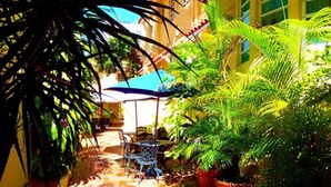 A courtyard with a table and chairs under a blue umbrella, surrounded by potted plants and a tiled floor.