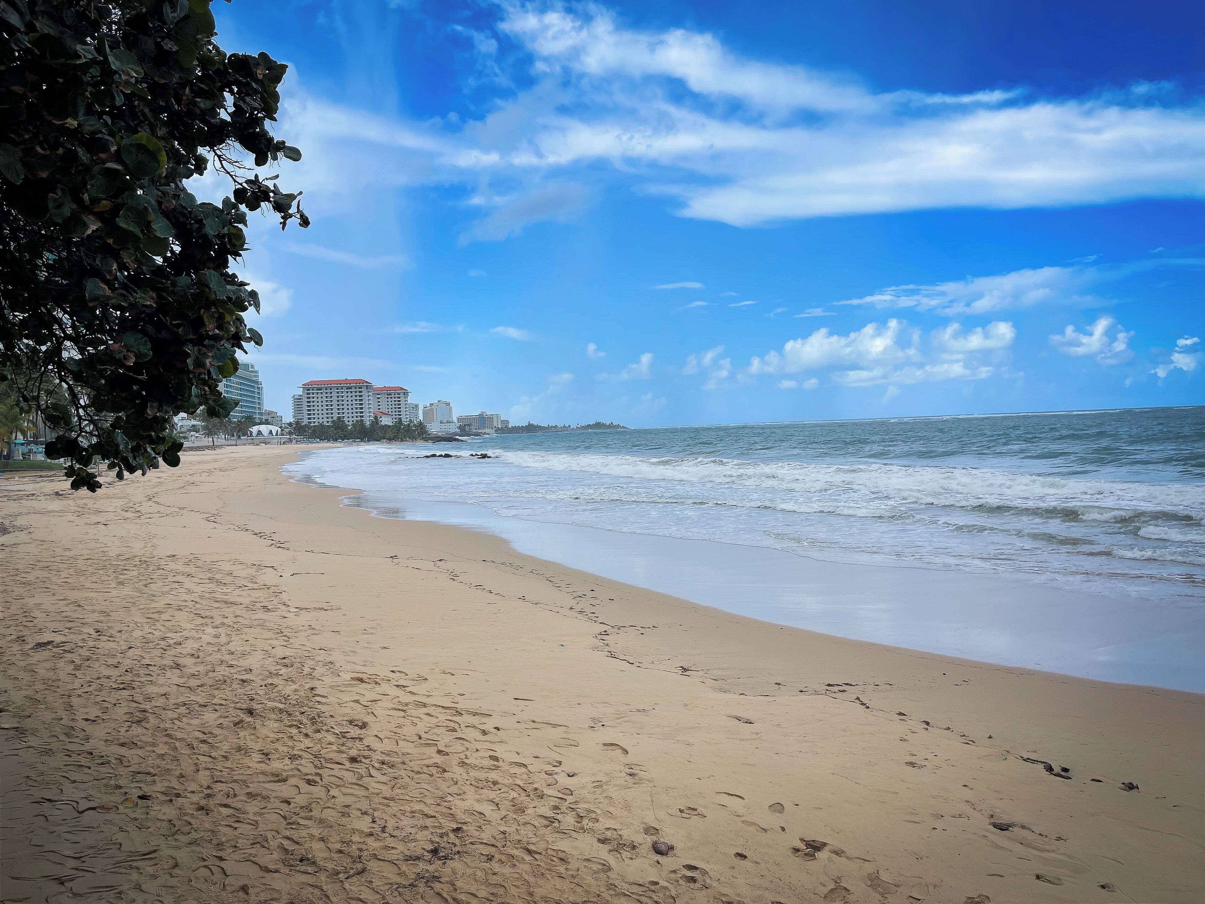 A beach with footprints, a clear sky, and buildings in the background.